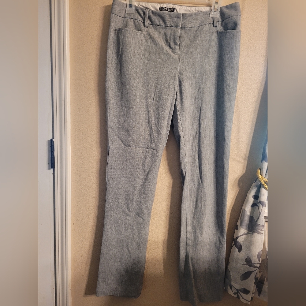Express Columnist Womens Size 4R Gray Slacks